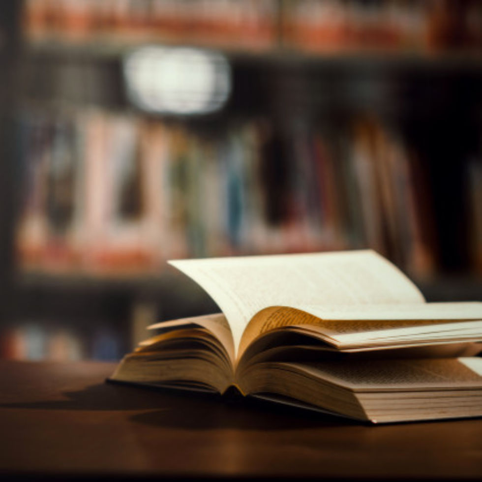 LEY GENERAL SOBRE MEDIO AMBIENTE