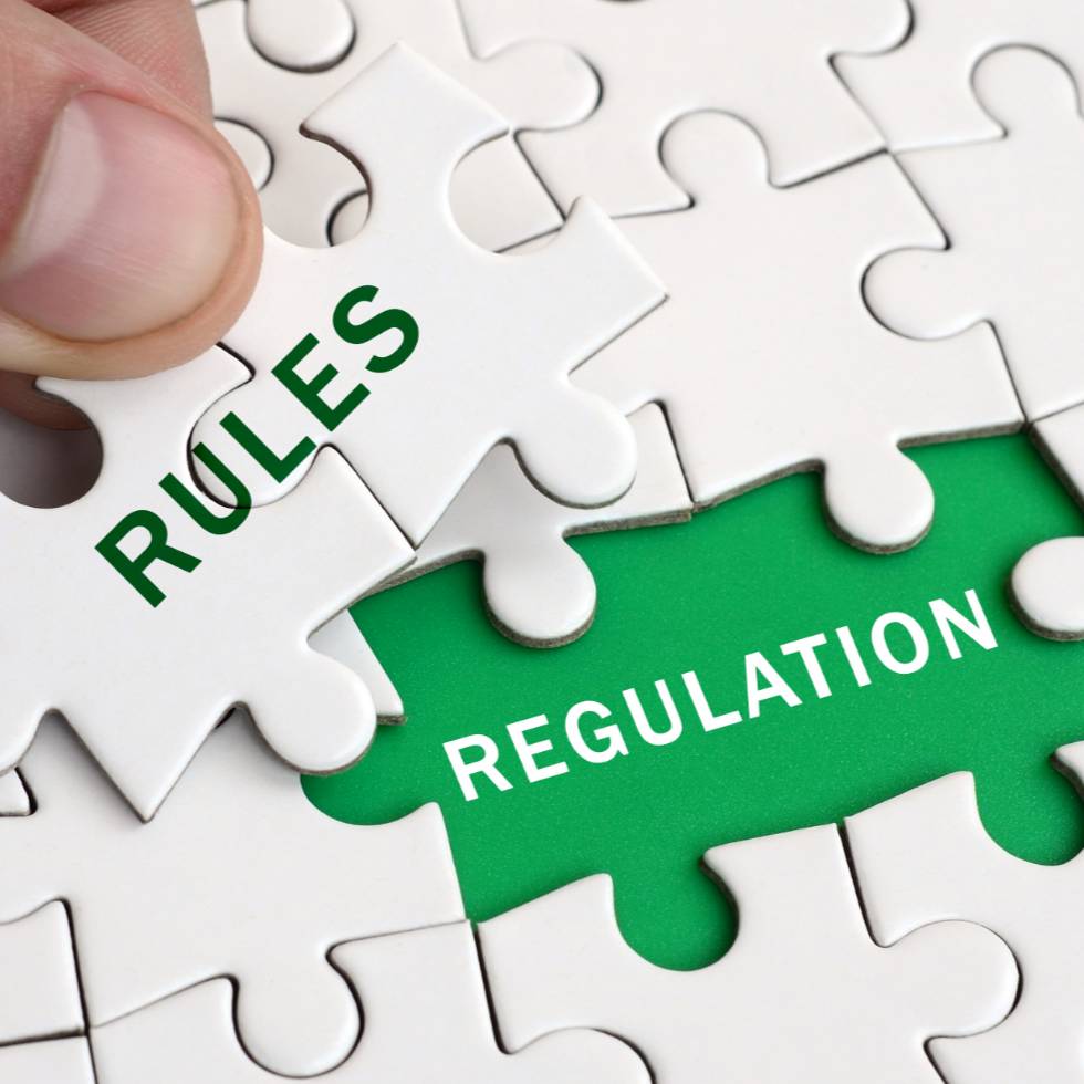 Regulación de visitas: cómo solicitarla y qué tener en cuenta.